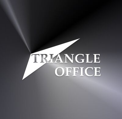 The logo of Triangle Studio